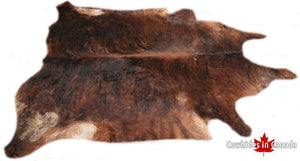 A  90277  Cowhide rug Collection Cowhides in Canada XXXL SUPER BIG SIZE