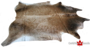 A  90280  Cowhide rug Collection Cowhides in Canada XXXL SUPER BIG SIZE