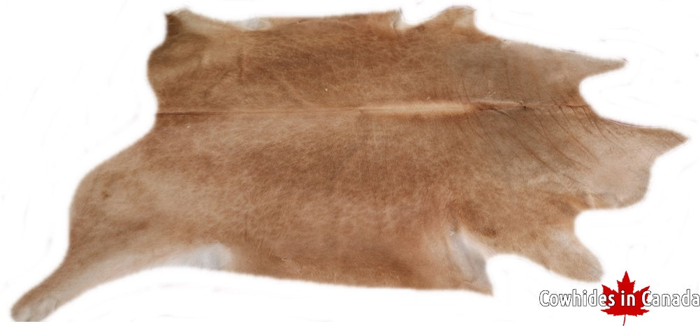 A  90299  Cowhide rug Collection Cowhides in Canada XXXL SUPER BIG SIZE