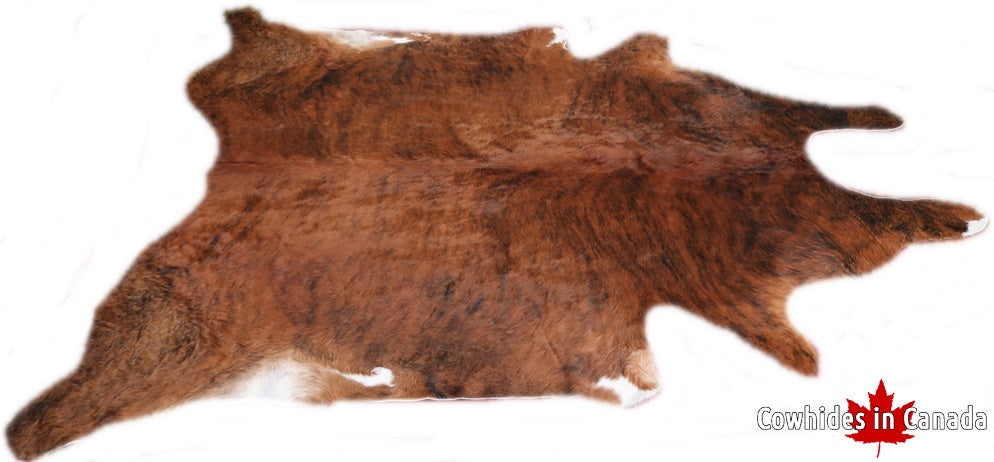 A  90302 Cowhide rug Collection Cowhides in Canada XXXL SUPER BIG SIZE