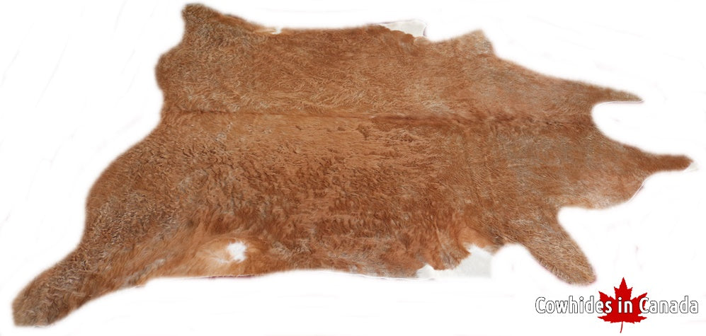 A  90306  Cowhide rug Collection Cowhides in Canada XXXL SUPER BIG SIZE