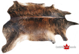 A 30033 Cowhide rug Collection XXXL  Cowhides in Canada