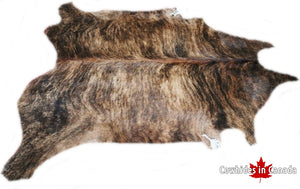 A 30035 Cowhide rug Collection XXXL  Cowhides in Canada