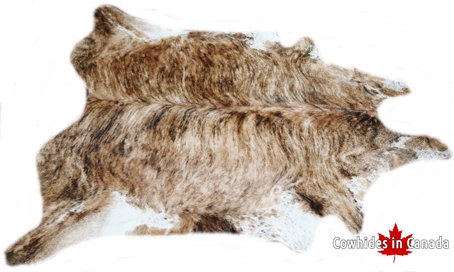 A 30038 Cowhide rug Collection   Cowhides in Canada