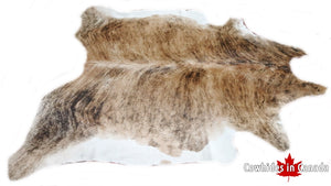 A 30043 Cowhide rug Collection XXL  Cowhides in Canada