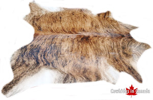 A 30044 Cowhide rug Collection XXL  Cowhides in Canada