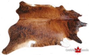 A 30075 Cowhide rug XXXL  Collection Cowhides in Canada