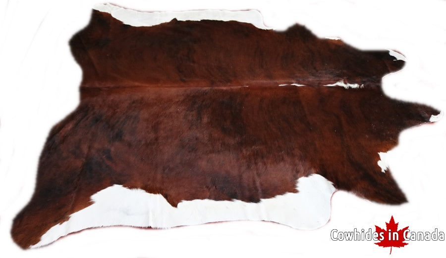 A 30085 Cowhide rug  XXXL Collection Cowhides in Canada SUPER BIG SIZE