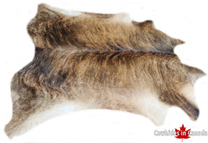 A 30104 Cowhide rug Collection XXL  Cowhides in Canada