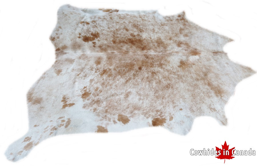 A 31065 Cowhide rug Collection XXL  Cowhides in Canada