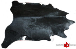 A 31074 Cowhide rug Collection XXXL Cowhides in Canada