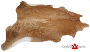 A 31075 Cowhide rug Collection XXXL Cowhides in Canada