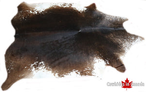 A 31083 Cowhide rug Collection Cowhides in Canada