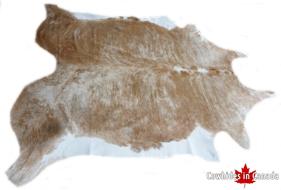 A 31092 Cowhide rug Collection Cowhides in Canada