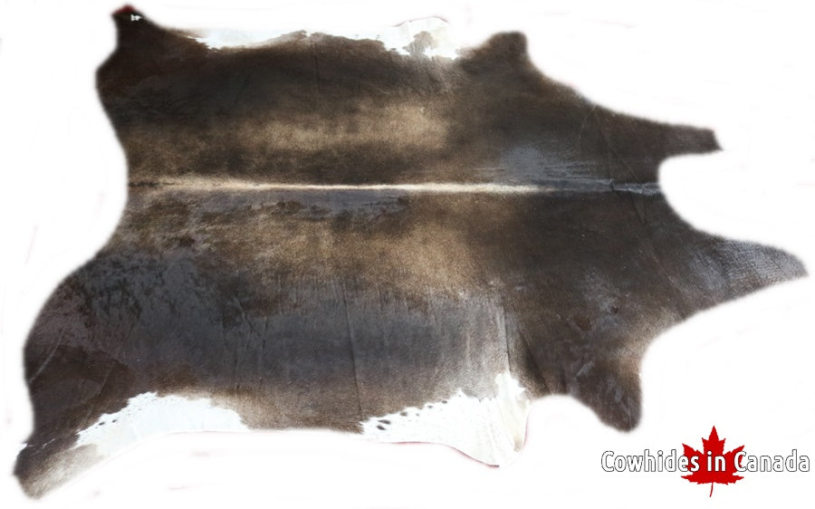 A 32004 Cowhide rug Collection Cowhides in Canada