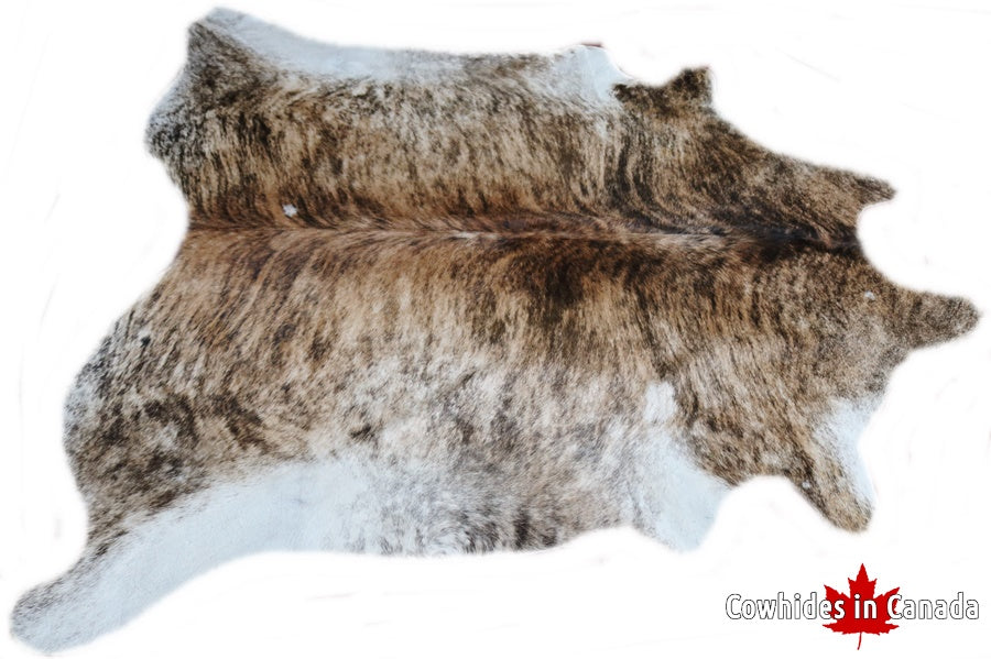 A 32024  Exotic Cowhide rug Collection Cowhides in Canada XXL