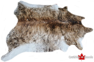 A 32024  Exotic Cowhide rug Collection Cowhides in Canada XXL