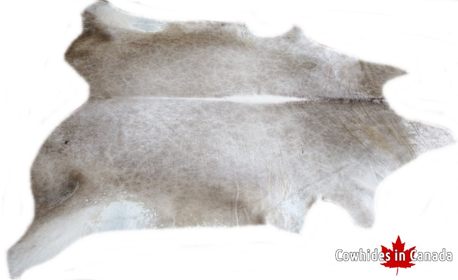 A 32160 Cowhide rug Collection XXL Cowhides in Canada