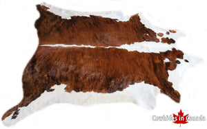 A 32170 Cowhide rug Tricolor  Collection XXXL Cowhides in Canada