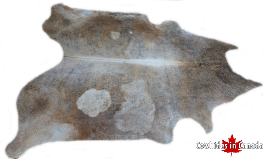 A 32180 Cowhide rug Collection  XXXL Cowhides in Canada