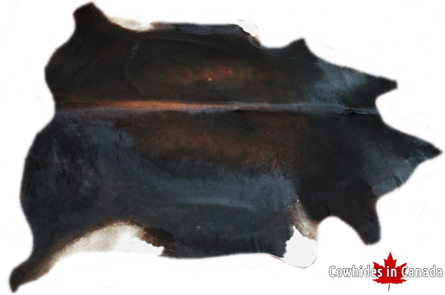 A 32181 Cowhide rug Collection  XXXL Cowhides in Canada