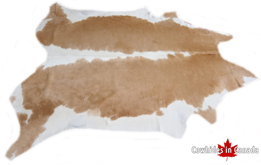 A 32221  Cowhide rug Collection Cowhides in Canada