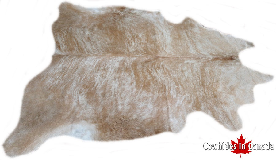 A 32240 Cowhide rug Collection Cowhides in Canada