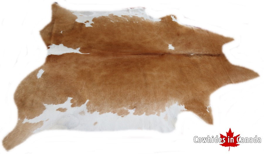 A 32272 Cowhide rug  XXL Collection Cowhides in Canada