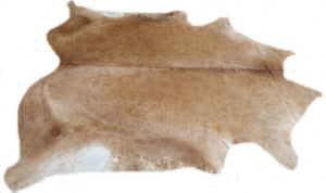 A 32302  Cowhide rug XXXL Collection Cowhides in Canada