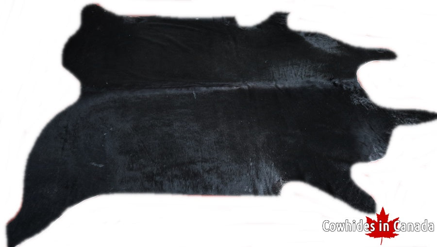 98529 Cowhide rug Collection XXXL Cowhides in Canada SUPER BIG SIZE ...