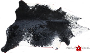 A 32091 Cowhide rug XXXL Collection Cowhides in Canada