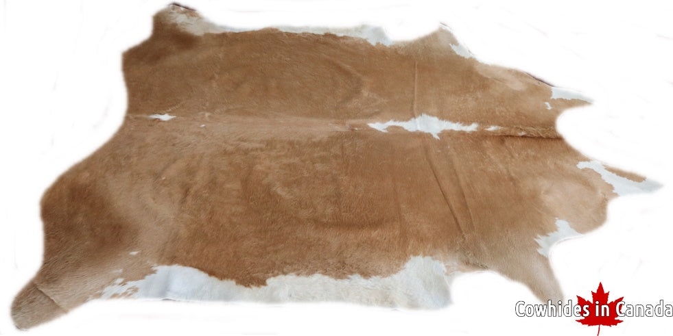 Big Real cowhide rug brown and white