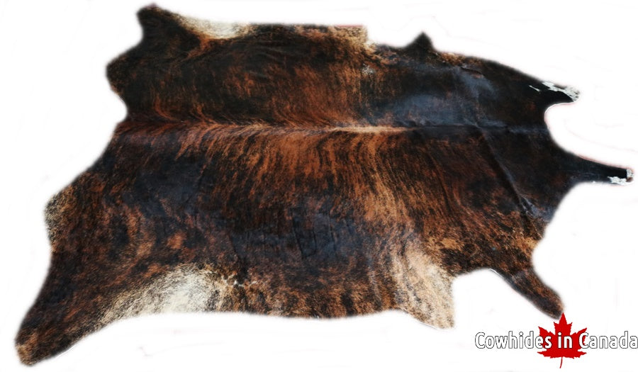 Big Real Brindle cowhide rug