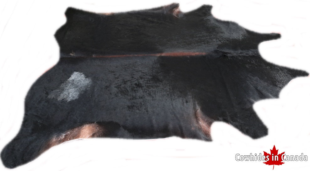 Dark cowhide rug