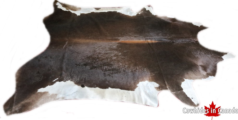 Big brown cowhide rug