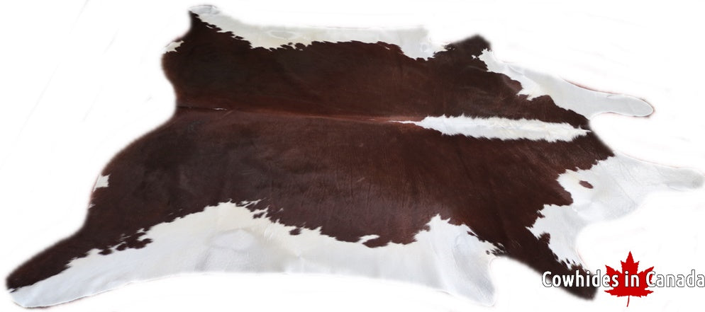 Brown and white cowhide rug