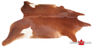 Big brown and white cowhide rug