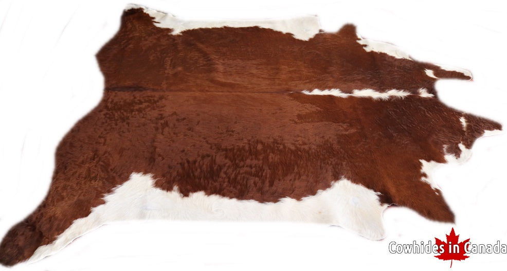 Brown and white cowhide rug