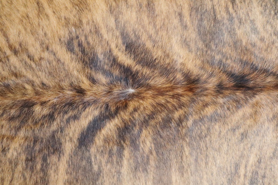 Cowhide rug