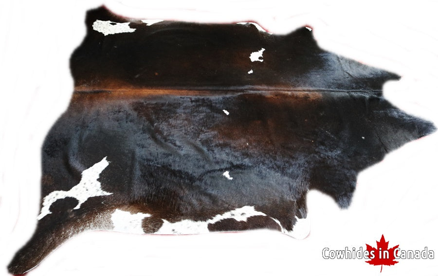 Brown and white cowhide rug